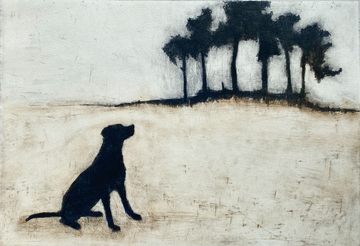 Featured image forCatherine Macdonald