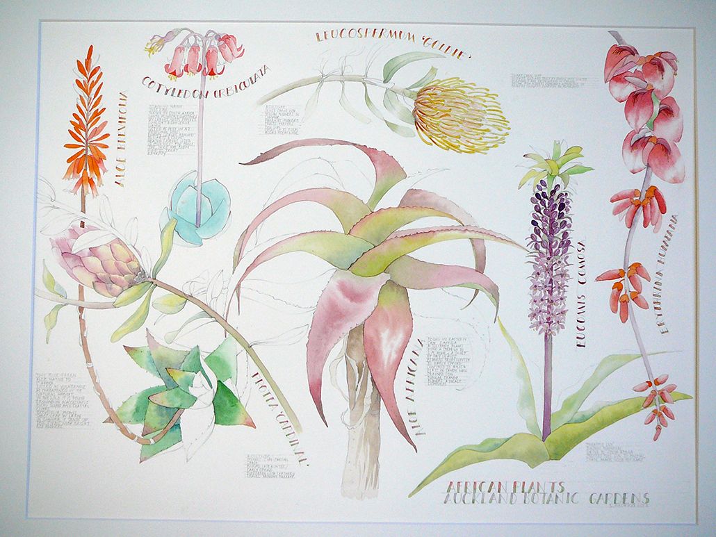 Featured image forSandra Morris Illustration