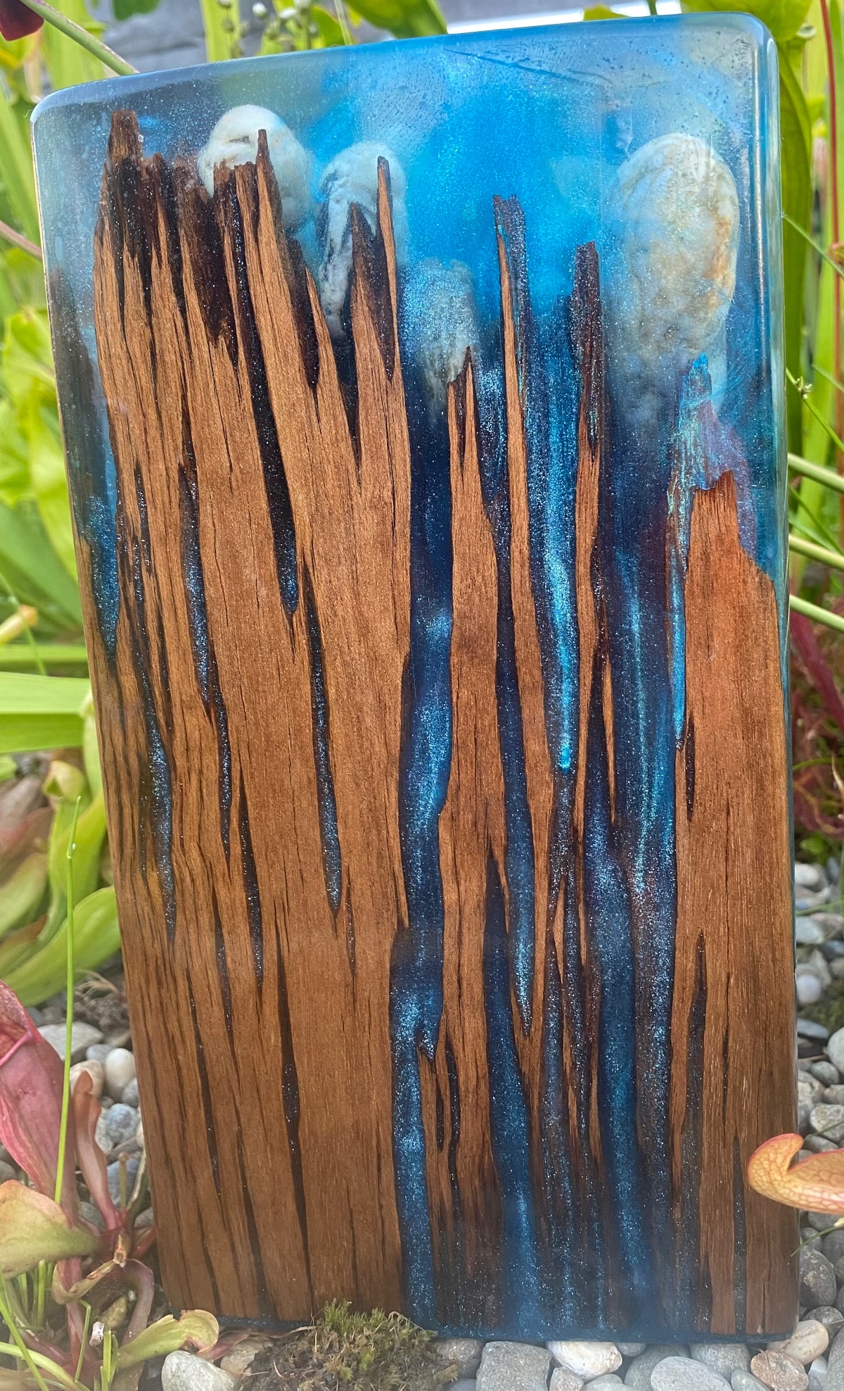 Featured image forCraving Carvings