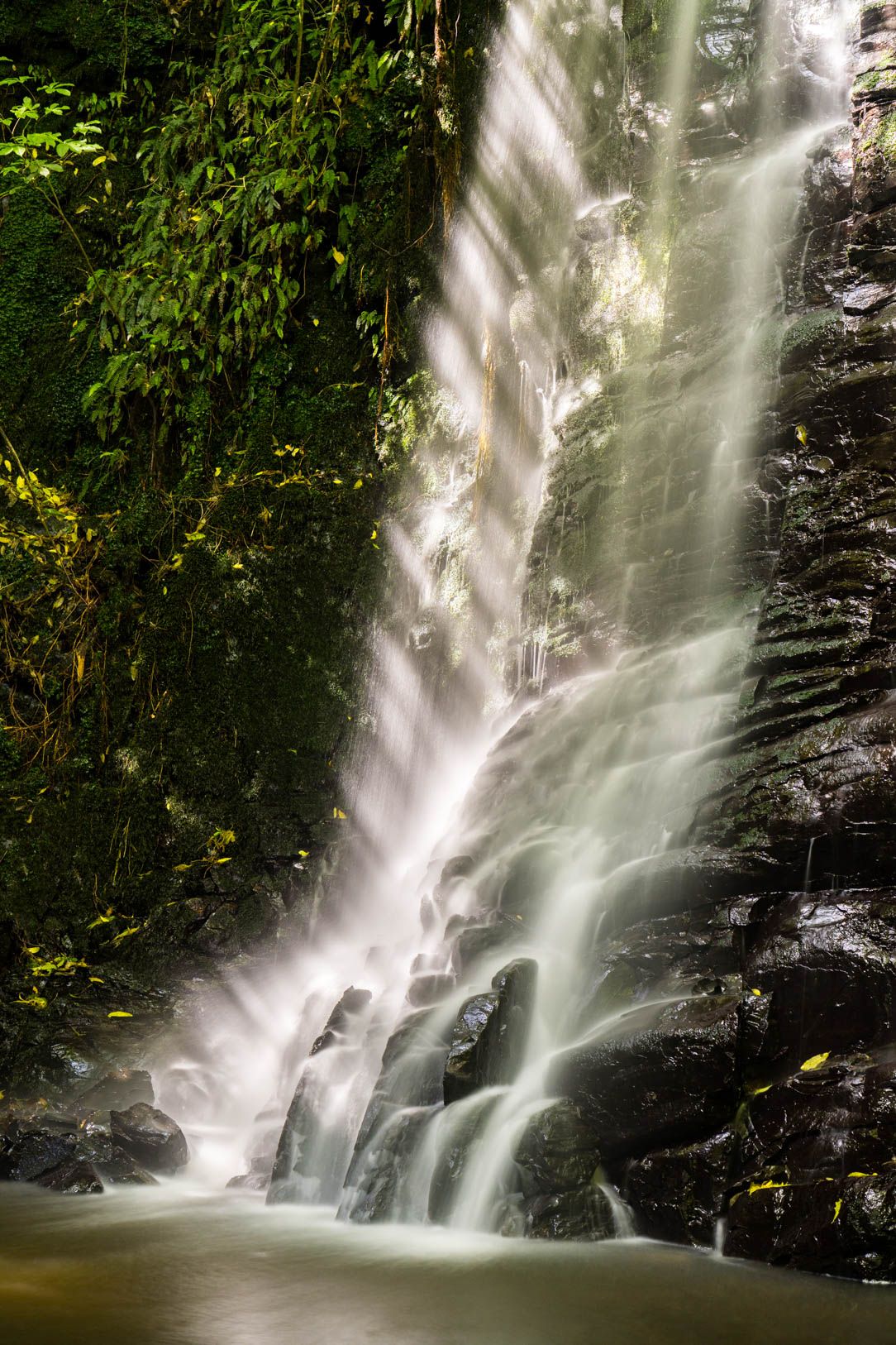 Featured image forAJ Photography & Rodney Donaldson Photography