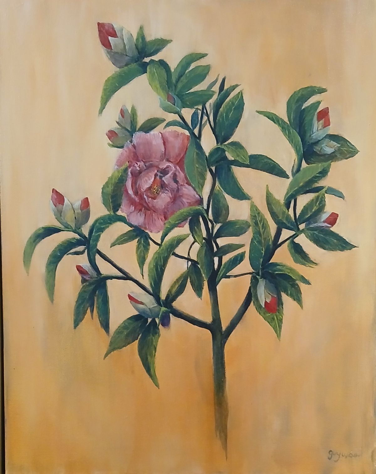 Featured image forFine Arts Gallery Whanganui