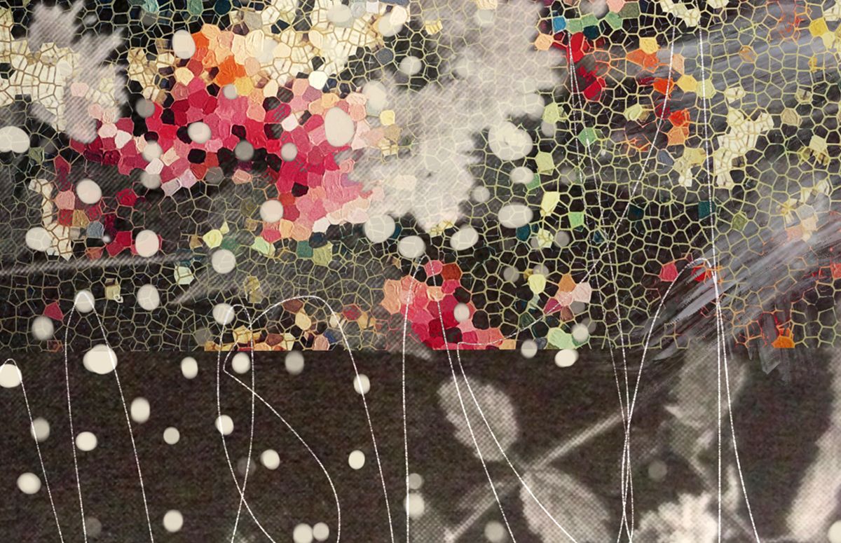 Featured image forKaye Coombs