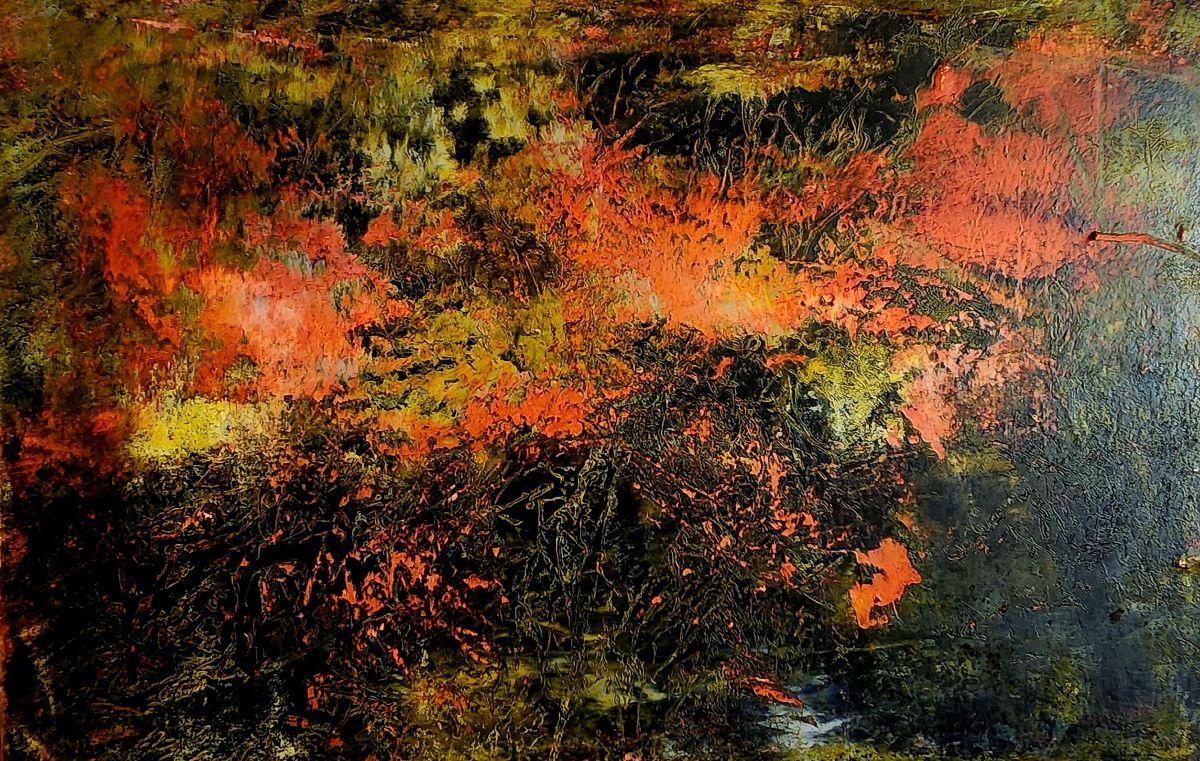 Featured image forAnna Layzell