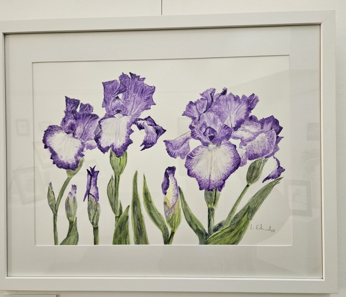 Featured image forIngrid Edwards