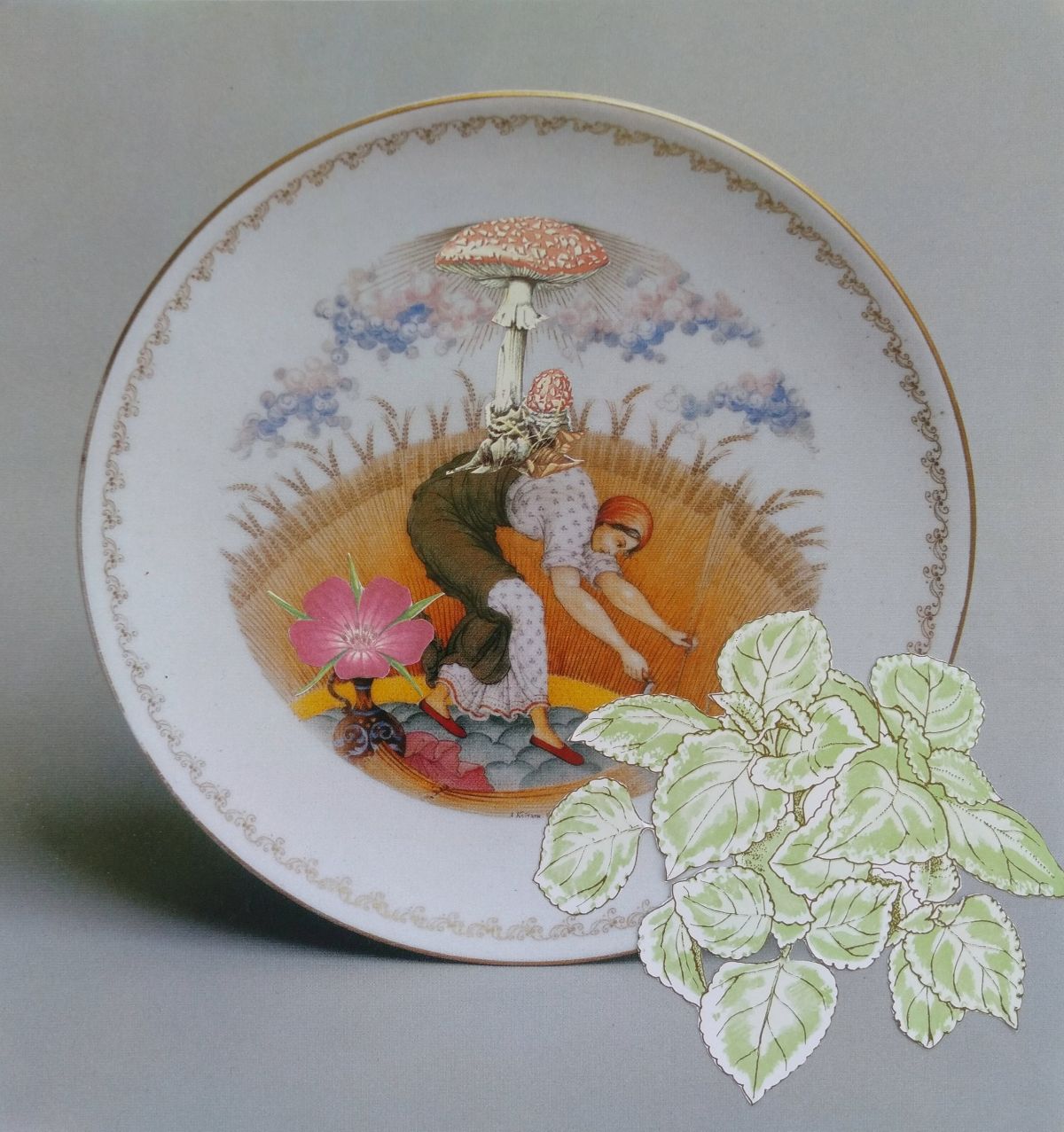 Featured image forAmanda Searle