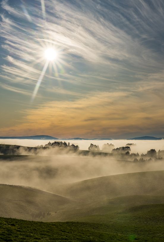 Featured image forRodney Donaldson