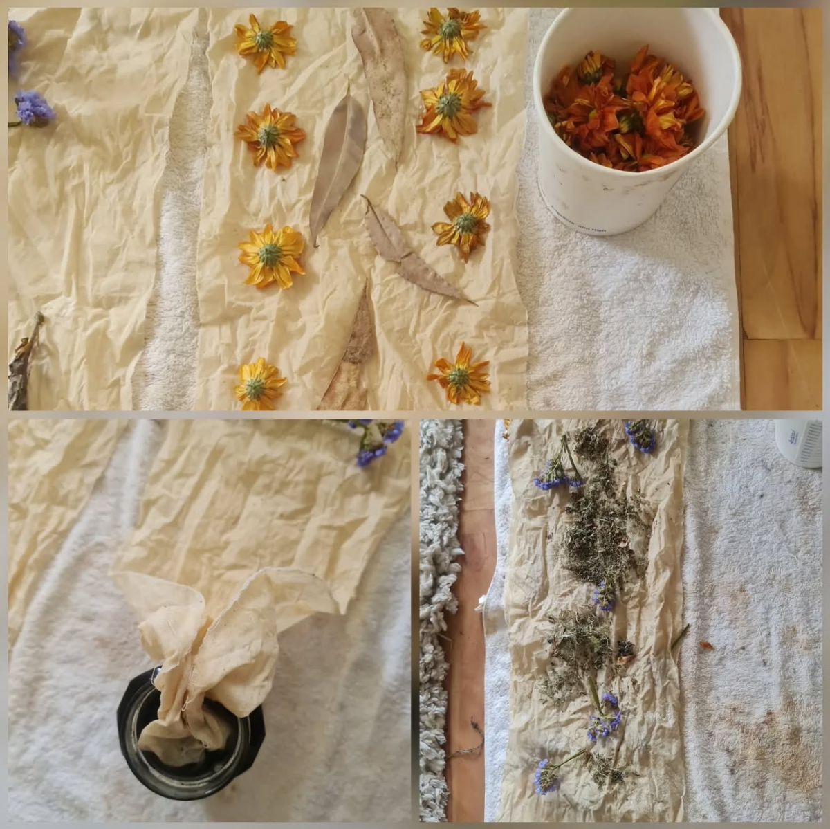 Featured image forKhoena-Naytjie