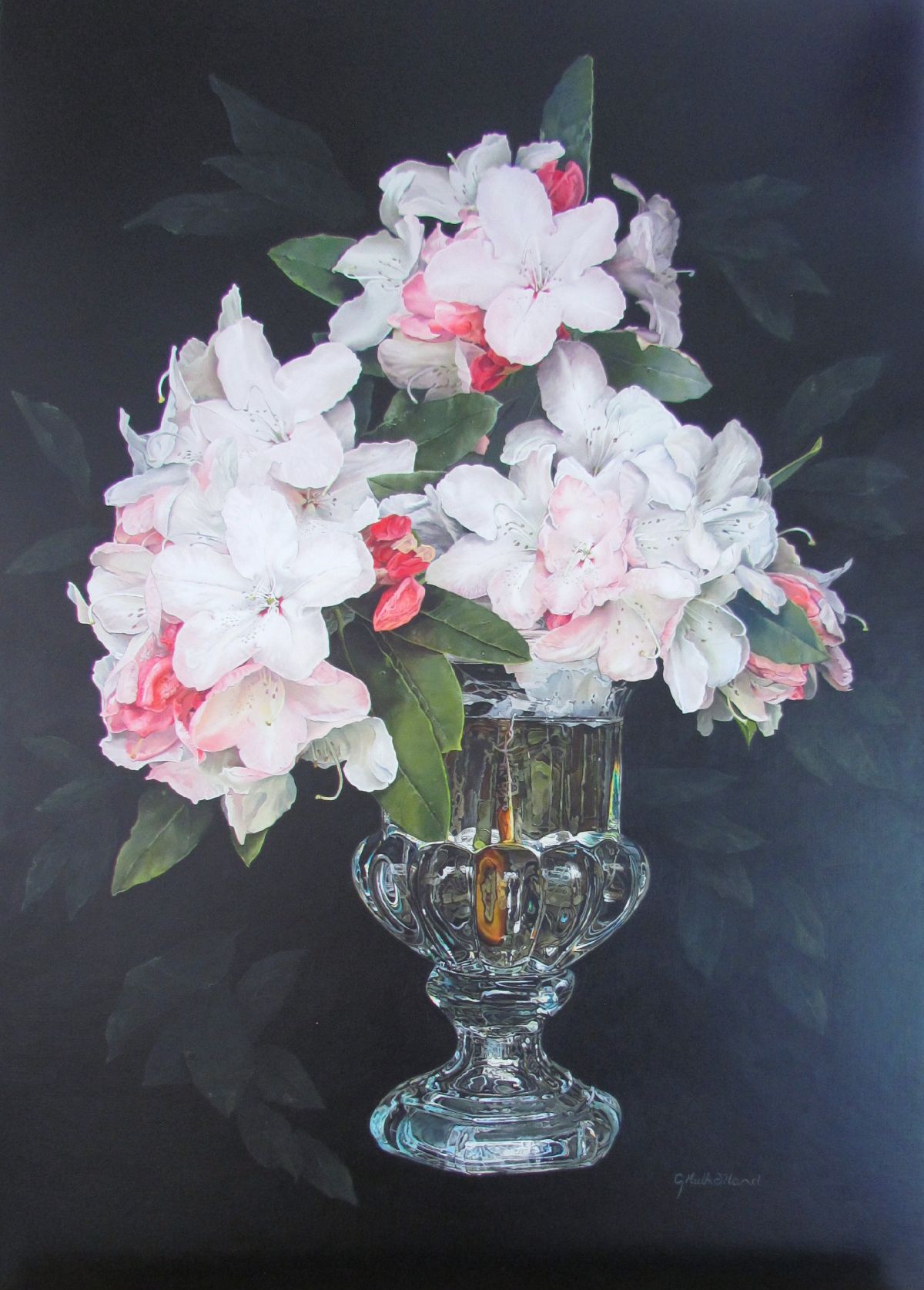 Featured image forGaynor Mulholland