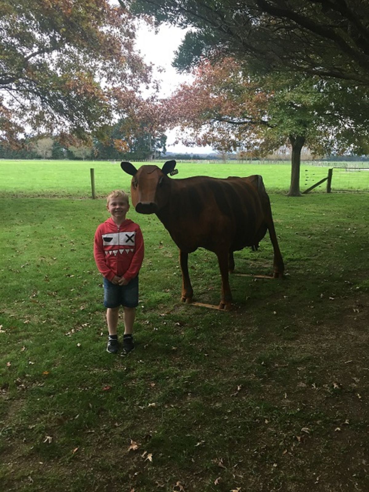 Featured image forGraeme Kiff